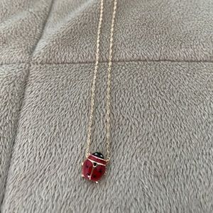 Ladybug necklace